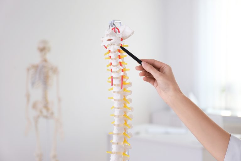 free online spinal cord course