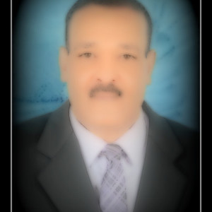 Mohamed Elsayed R.